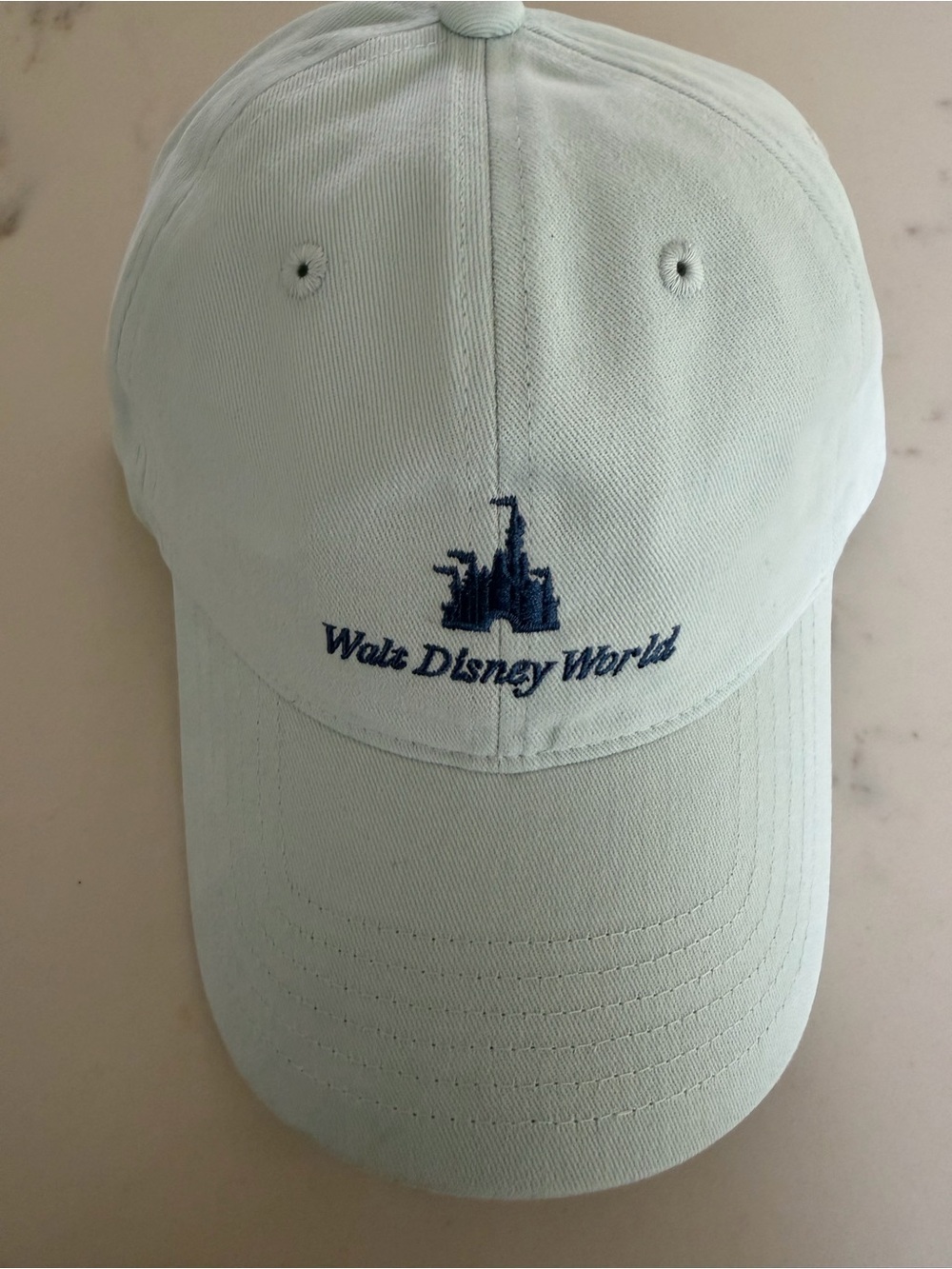 Brand new Walt Disney World hat